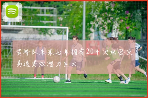 黄蜂队未来七年拥有20个次轮签交易选秀权潜力巨大